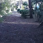 K/3 * Эраклея-Маре